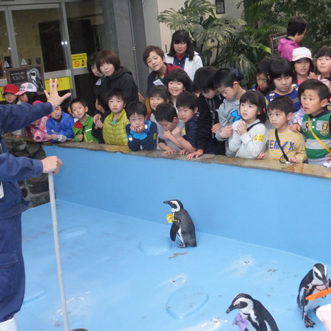 DSCF5082