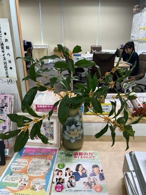 image0.jpeg